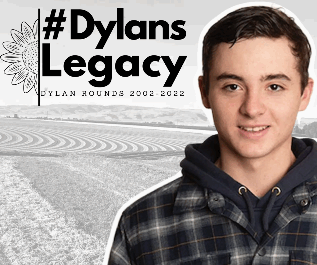 Dylans legacy